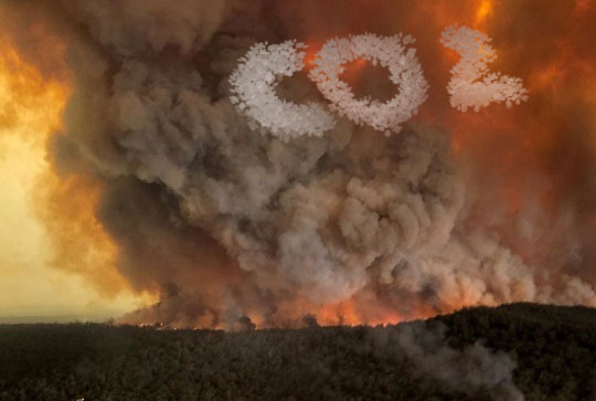 INCENDIOS DE AUSTRALIA HAN EMITIDO CASI LA MISMA CANTIDAD DE CO2 QUE TODO EL 2018