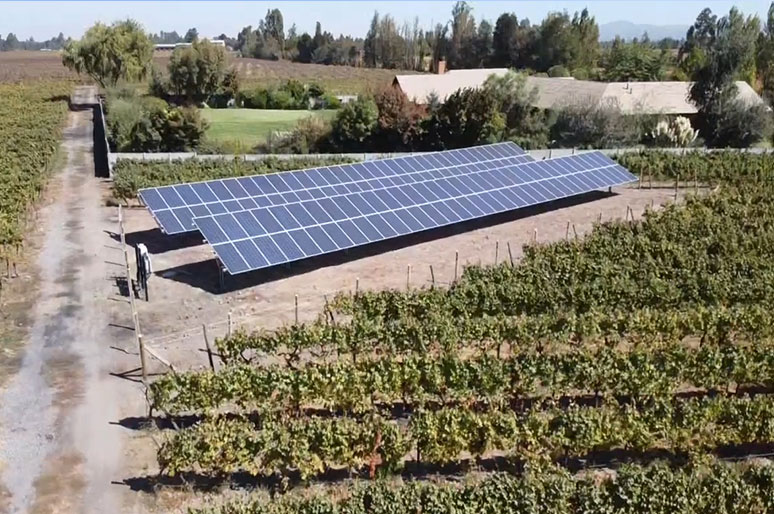 Proyecto solar fotovoltaico Viña Galán | TRITEC-Intervento