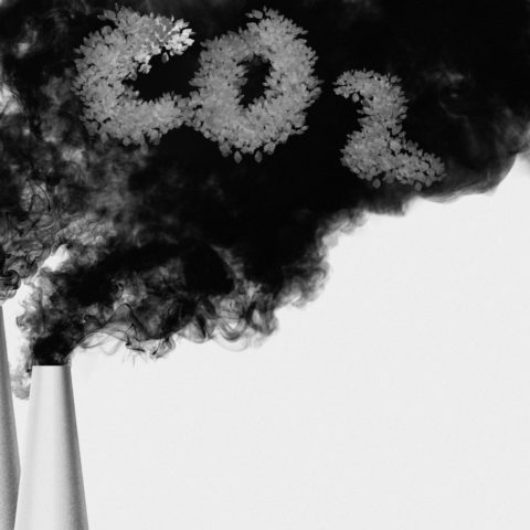 El ahorro de emisión de CO2 en proyectos de energía renovable